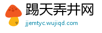 踢天弄井网